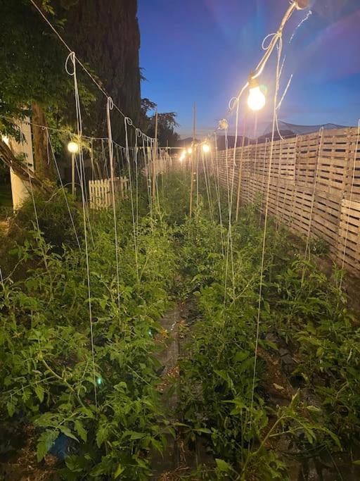 Apartament Voltapensieri Battipaglia Zewnętrze zdjęcie